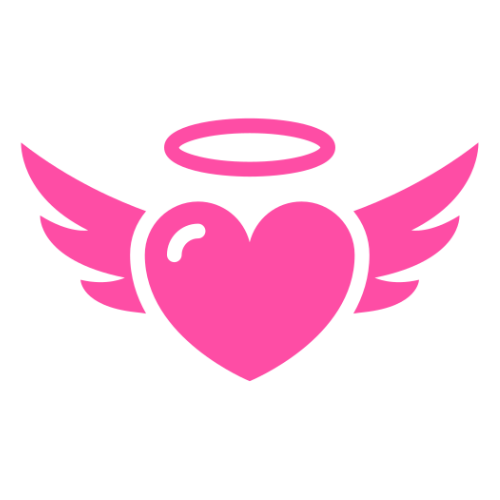 Heart with wings icon